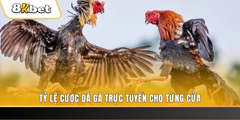hit22 sòng bạc tỷ lệ bóng đá